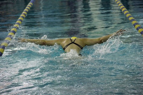 Swimming Spreads Wings to Success