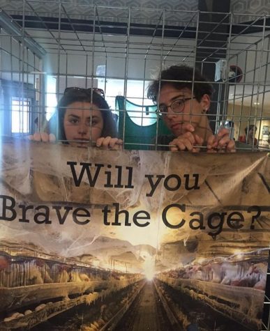 Will You Brave The Cage? Photo provided by Simon Brown.