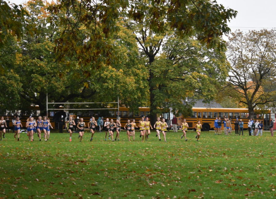 Female Varsity XC Team starting the District race off.