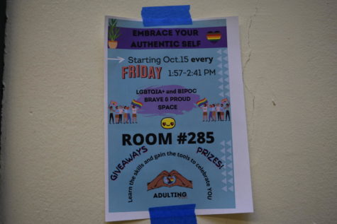 Poster promoting the new class Adulting IRL, located in room 285 every Friday during seventh period.