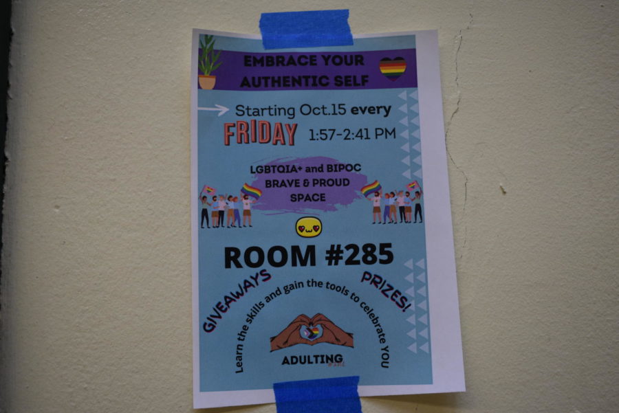 Poster+promoting+the+new+class+Adulting+IRL%2C+located+in+room+285+every+Friday+during+seventh+period.