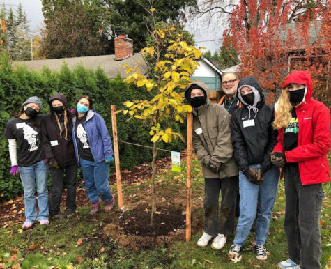 Key Club members help plant trees in Milwaukie to help rebuild the ecosystem after extensive damage from the ice storms last year.
