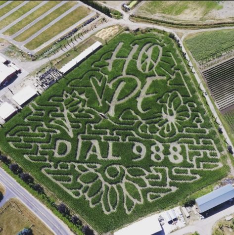 The post revealing the 2022 corn maze design has 5,000 likes and counting on Instagram.