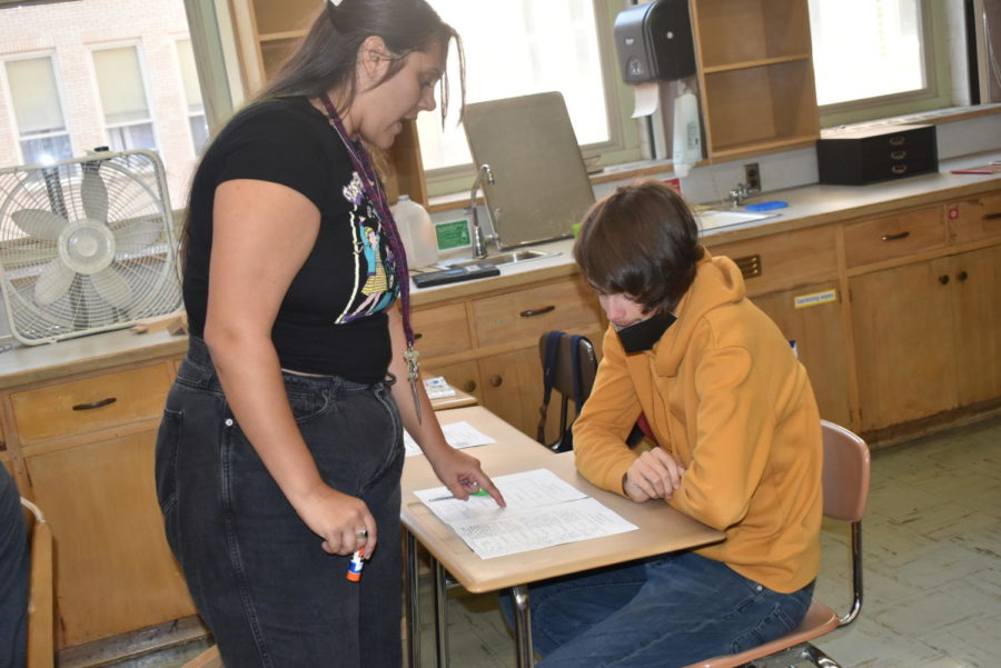 Alexandria Gainer, a new para educator, helps a student with his project.