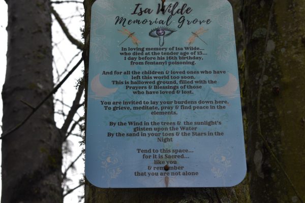 A memorial sign for Isa, put up by his mother, Sefana Wilde, located at the Sellwood Riverfront Park.