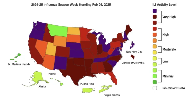 Flu Season Graphic 